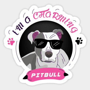 pitbull I'M A CHARMING Sticker